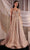 Ladivine CD849 - Glitter Tulle Evening Gown