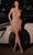 Ladivine CDS531 - V-Neck Fringe Detailed Cocktail Dress Cocktail Dresses