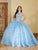 Lizluo Fiesta 56510 - Sleeveless Applique Embellished Ballgown Special Occasion Dress