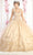 May Queen LK180 - Floral Detailed Quinceanera Ballgown Ball Gowns 4 / Champagne