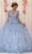 May Queen LK199 - Floral-Detailed Quinceanera Gown Ball Gowns