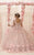 May Queen LK199 - Floral-Detailed Quinceanera Gown Ball Gowns