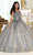 May Queen LK201 - Applique Glitter Ballgown Quinceanera Dresses