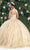 May Queen LK201 - Applique Glitter Ballgown Quinceanera Dresses