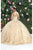 May Queen LK201 - Applique Glitter Ballgown Special Occasion Dress