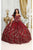 May Queen LK215 - Floral Embroidered Ballgown Special Occasion Dress