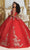 May Queen LK219 - Metallic Applique Ballgown Quinceanera Dresses