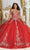 May Queen LK219 - Metallic Applique Ballgown Quinceanera Dresses 4 / Red/Gold