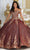 May Queen LK220 - Off Shoulder Applique Ballgown Quinceanera Dresses