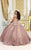 May Queen LK229 - Cap Sleeve Applique Ballgown Special Occasion Dress