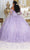 May Queen LK236 - Off Shoulder Butterfly Ballgown Special Occasion Dress