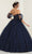 May Queen LK237 - Sheer Applique Ballgown Quinceanera Dresses