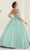 May Queen LK237 - Sheer Applique Ballgown Quinceanera Dresses