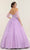 May Queen LK237 - Sheer Applique Ballgown Quinceanera Dresses