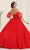 May Queen LK237 - Sheer Applique Ballgown Quinceanera Dresses