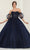 May Queen LK237 - Sheer Applique Ballgown Quinceanera Dresses 4 / Navy