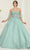 May Queen LK237 - Sheer Applique Ballgown Quinceanera Dresses 4 / Sage