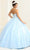 May Queen LK243 - Glitter Floral Applique Ballgown Quinceanera Dresses