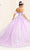 May Queen LK245 - Applique Ballgown Special Occasion Dress