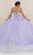 May Queen LK249 - Floral Detail Ballgown Special Occasion Dress