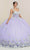 May Queen LK249 - Floral Detail Ballgown Special Occasion Dress