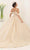 May Queen LK250 - Cold Shoulder Ballgown Special Occasion Dress