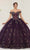 May Queen LK252 - Embellished Butterfly Ballgown Special Occasion Dress