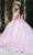 May Queen LK263 - Floral Embroidery Basque Ballgown Quinceanera Dresses