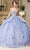 May Queen LK268 - Floral Sweetheart Ballgown Quinceanera Dresses 2 / Dusty Blue