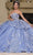 May Queen LK268 - Floral Sweetheart Ballgown Quinceanera Dresses