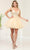 May Queen MQ2066 - Applique Tulle Cocktail Dress Special Occasion Dress 2 / Champagne