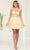 May Queen MQ2067 - Applique V-Neck Cocktail Dress Special Occasion Dress 2 / Champagne