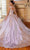 Mori Lee 34062 - Sweetheart Quinceanera Gown Quinceanera Dresses