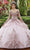 Mori Lee 60128 - Sequined Sheer Long Sleeve Ballgown Ball Gowns