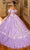 Mori Lee 60151 - Ruffle Tulle Quinceanera Gown Ball Gowns