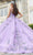 Mori Lee 60176 - Sleeveless Floral Embroidered Ballgown Ball Gowns