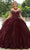 Mori Lee 60177 - Beaded Velvet Quinceanera Ballgown Quinceanera Dresses 00 / Wine