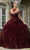 Mori Lee 60177 - Beaded Velvet Quinceanera Ballgown Quinceanera Dresses