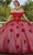 Mori Lee 60185 - Off Shoulder 3D Floral Appliqued Ballgown Ball Gowns