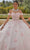 Mori Lee 60185 - Off Shoulder 3D Floral Appliqued Ballgown Ball Gowns