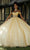 Mori Lee 60194 - Strapless Corset Bodice Ballgown Ball Gowns 00 / Gold