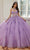 Mori Lee 60206 - Spaghetti Strap Quinceanera Ballgown Quinceanera Dresses 00 / Orchid