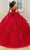 Mori Lee 60206 - Spaghetti Strap Quinceanera Ballgown Quinceanera Dresses