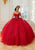 Mori Lee 60206 - Spaghetti Strap Quinceanera Ballgown Quinceanera Dresses