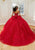 Mori Lee 60206 - Spaghetti Strap Quinceanera Ballgown Quinceanera Dresses