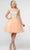 Poly USA 8302 - Lace Applique Scoop Neck Cocktail Dress Cocktail Dresses