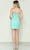 Poly USA 9596 - Lace Sleeveless Cocktail Dress Cocktail Dresses