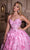 Portia and Scarlett PS25360P - 3D Floral Embellished Ballgown Special Occasion Dress