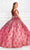 Princesa by Ariana Vara PR11921 - Beaded Lace with Cape Ball Gown