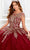 Princesa by Ariana Vara PR22026 - Short Sleeve Glitter Tulle Ball Gown